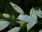 P1010505