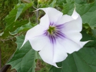 P1010873