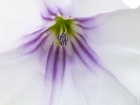 P1010876