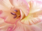 P1020819